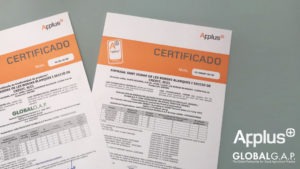 terrall info